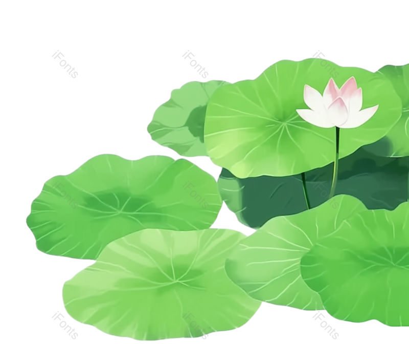 夏至图片,元素元素,清新PNG,荷花免抠素材